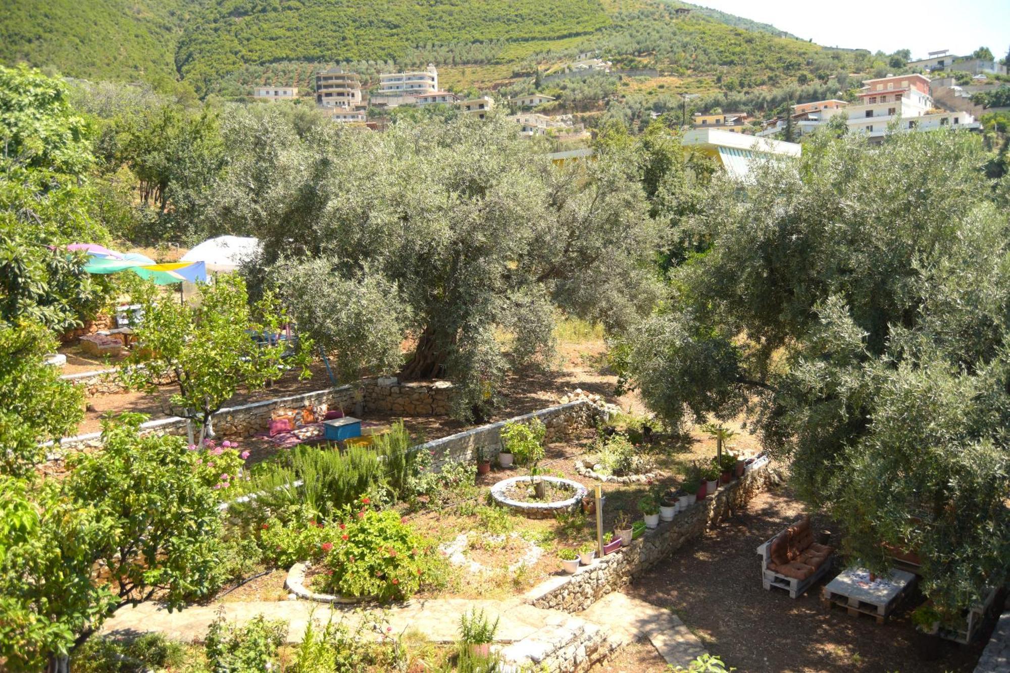 Vila Toskaj Vlore Exterior photo